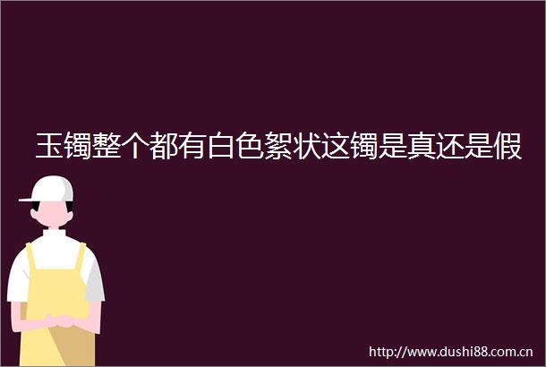 玉镯整个都有白色絮状这镯是真还是假