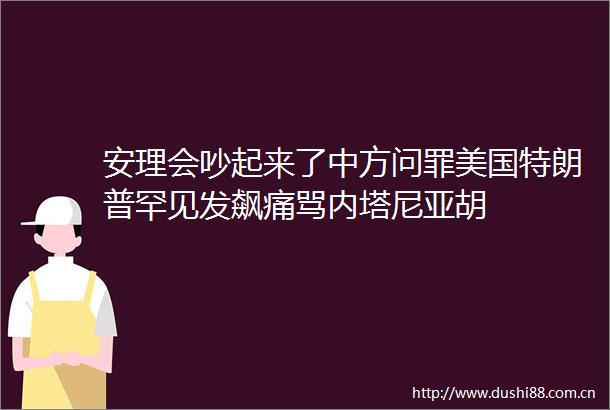 安理会吵起来了中方问罪美国特朗普罕见发飙痛骂内塔尼亚胡