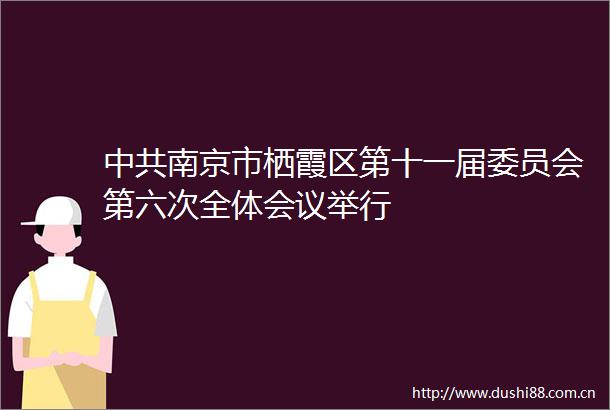 南京市栖霞区第十一届委员会第六次全体会议举行