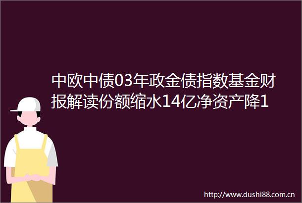 中欧中债03年政金债指数基金财报解读份额缩水14亿净资产降12亿净利润174亿管理费486万
