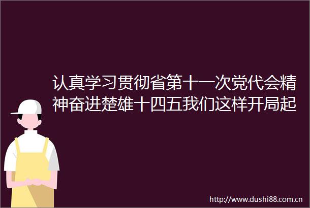 认真学习贯彻省第十一次党代会精神奋进楚雄十四五我们这样开局起步压力动力活力