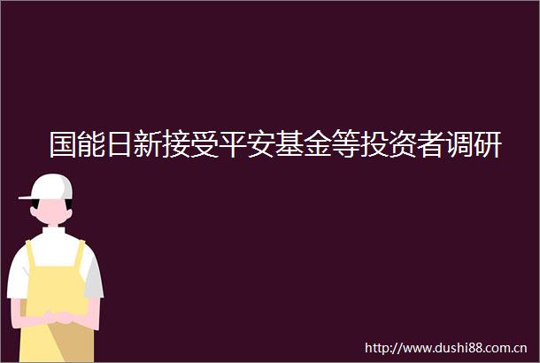 国能日新接受平安基金等投资者调研