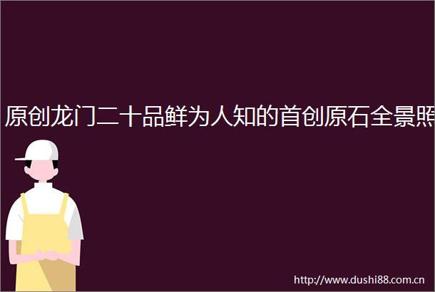 原创龙门二十品鲜为人知的首创原石全景照