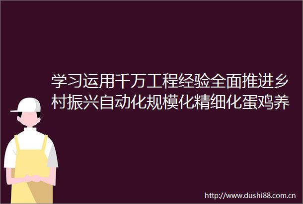 学习运用千万工程经验全面推进乡村振兴自动化规模化精细化蛋鸡养殖有钱景