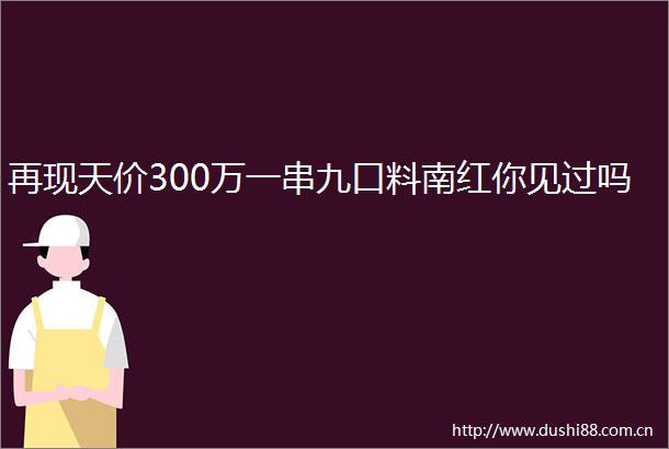 再现天价300万一串九口料南红你见过吗