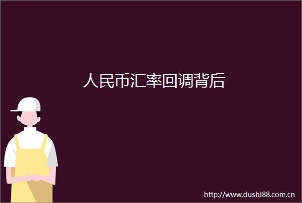 币汇率回调背后