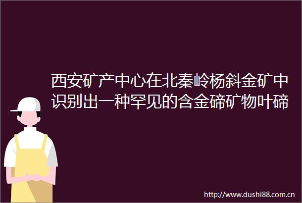 西安矿产中心在北秦岭杨斜金矿中识别出一种罕见的含金碲矿物叶碲金矿