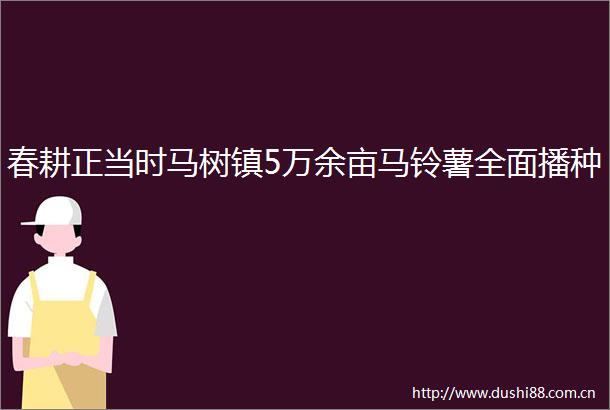 春耕正当时马树镇5万余亩马铃薯全面播种