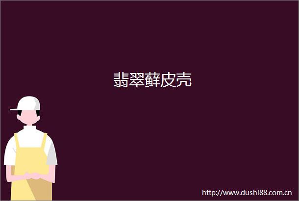 翡翠藓皮壳