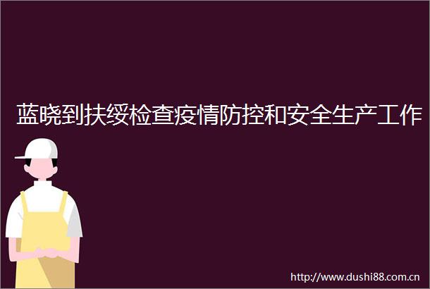 蓝晓到扶绥检查疫情防控和安全生产工作