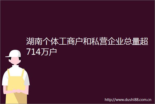 湖南个体工商户和私营企业总量超714万户