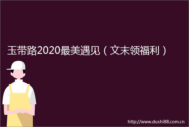 玉带路2020最美遇见（文末领福利）