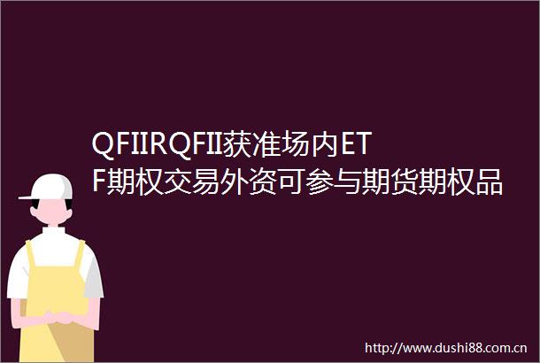 QFIIRQFII获准场内ETF期权交易外资可参与期货期权品种拓展至100个