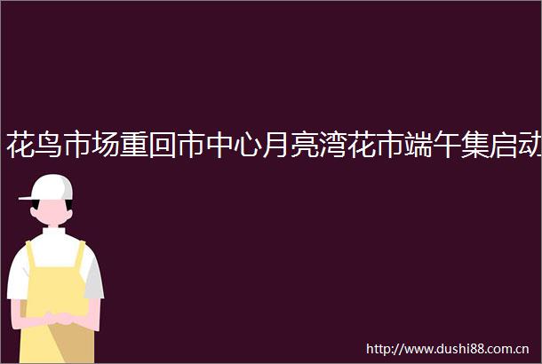 花鸟市场重回市中心月亮湾花市端午集启动
