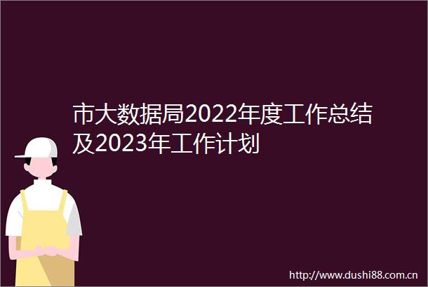 市大数据局2022年度工作总结及2023年工作计划