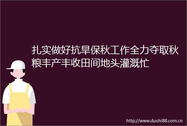 扎实做好抗旱保秋工作全力夺取秋粮丰产丰收田间地头灌溉忙