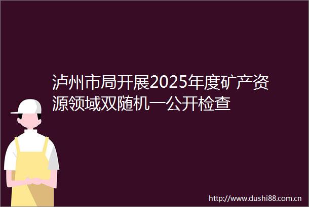泸州市局开展2025年度矿产资源领域双随机一公开检查