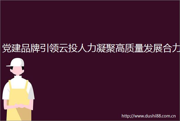 党建品牌引领云投人力凝聚高质量发展合力