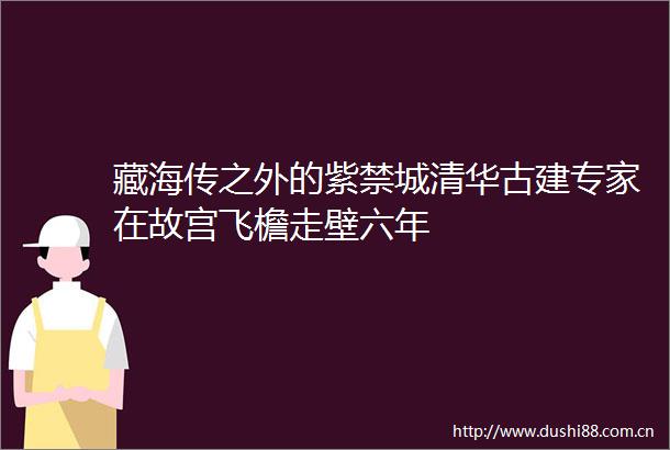 藏海传之外的紫禁城清华古建专家在故宫飞檐走壁六年