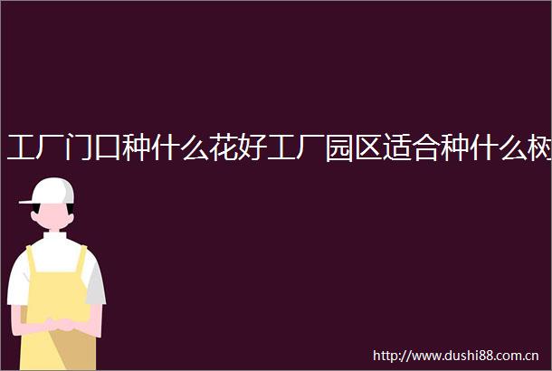 工厂门口种什么花好工厂园区适合种什么树