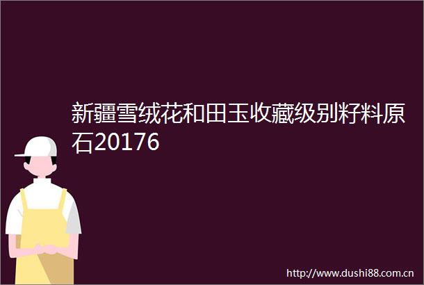新疆雪绒花和田玉收藏级别籽料原石20176