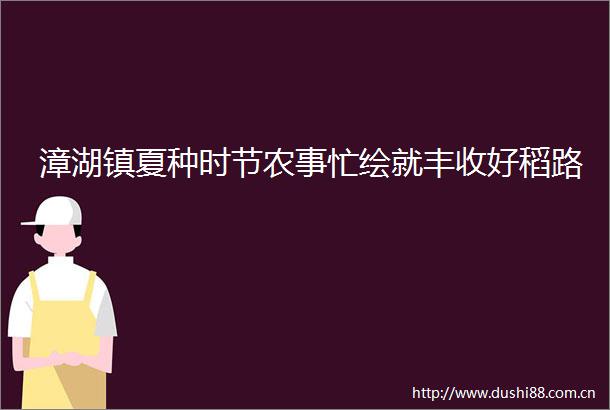 漳湖镇夏种时节农事忙绘就丰收好稻路