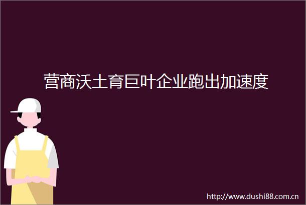 营商沃土育巨叶企业跑出加速度