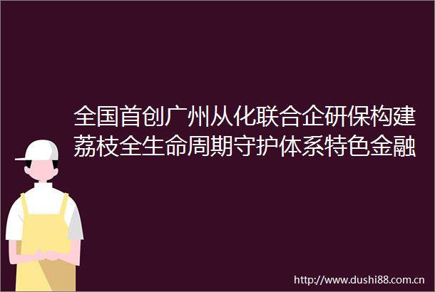 全国首创广州从化联合企研保构建荔枝全生命周期守护体系特色金融助荔出海