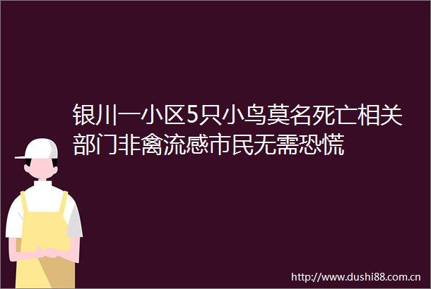 银川一小区5只小鸟莫名死亡相关部门非禽流感市民无需恐慌