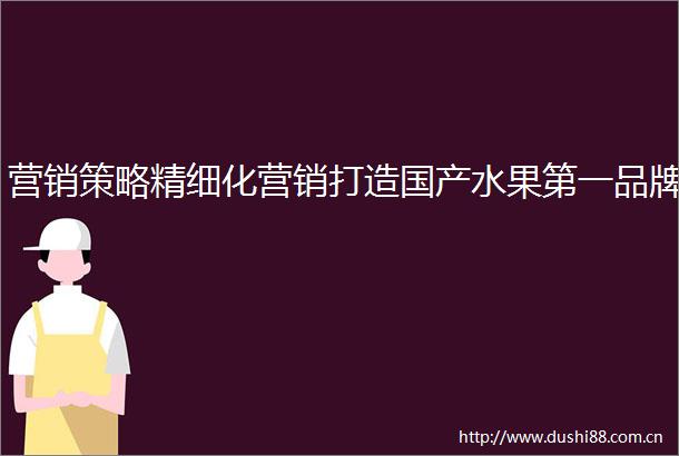 营销策略精细化营销打造国产水果第一品牌