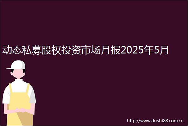 动态私募股权投资市场月报2025年5月