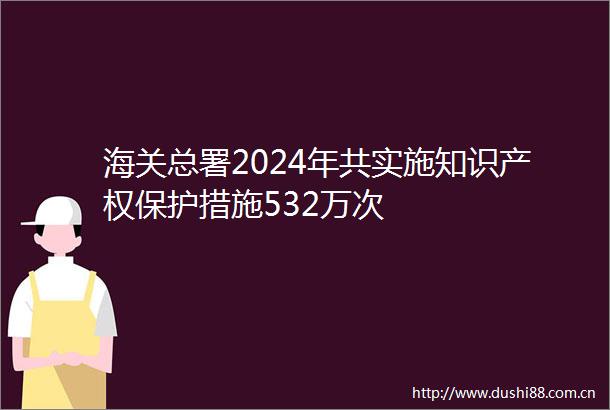 海关总署2024年共实施知识产权保护措施532万次