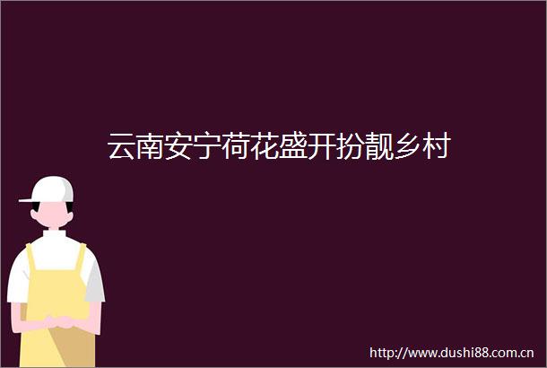 云南安宁荷花盛开扮靓乡村