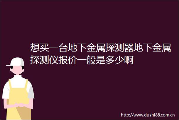 想买一台地下金属探测器地下金属探测仪报价一般是多少啊