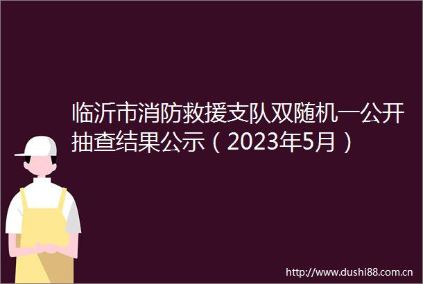 临沂市消防救援支队双随机一公开抽查结果公示（2023年5月）