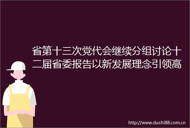 省第十三次党代会继续分组讨论十二届省委报告以新发展理念引领高质量发展