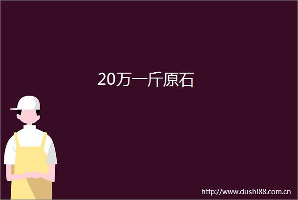 20万一斤原石