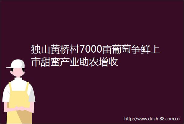 独山黄桥村7000亩葡萄争鲜上市甜蜜产业助农增收