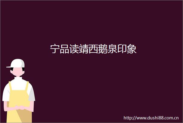 宁品读靖西鹅泉印象