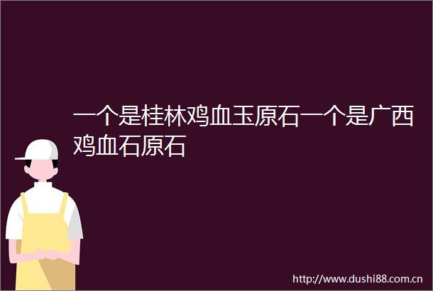 一个是桂林鸡血玉原石一个是广西鸡血石原石