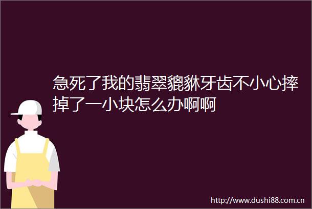 急死了我的翡翠貔貅牙齿不小心摔掉了一小块怎么办啊啊
