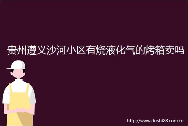 贵州遵义沙河小区有烧液化气的烤箱卖吗