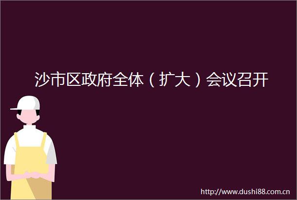 沙市区全体（扩大）会议召开