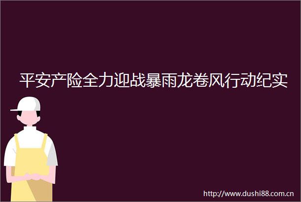 平安产险全力迎战暴雨龙卷风行动纪实