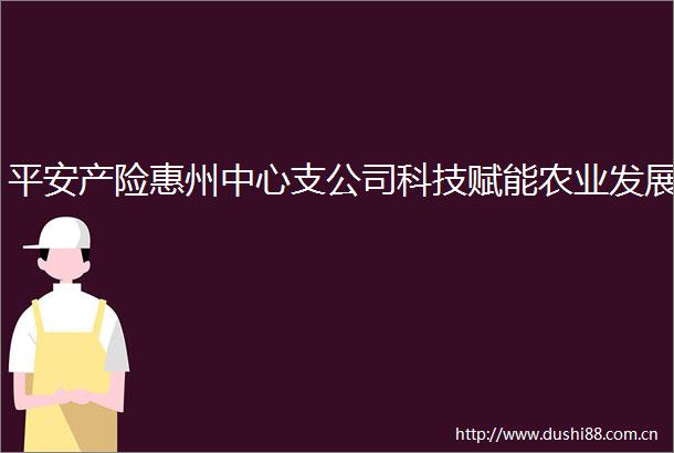 平安产险惠州中心支公司科技赋能农业发展