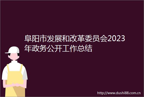 阜阳市发展和改革委员会2023年政务公开工作总结
