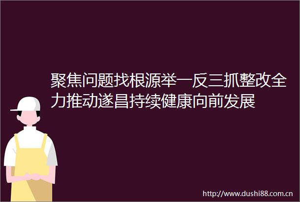 聚焦问题找根源举一反三抓整改全力推动遂昌持续健康向前发展