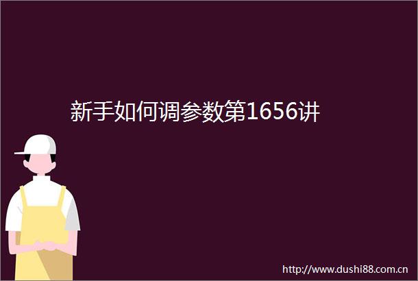 新手如何调参数第1656讲