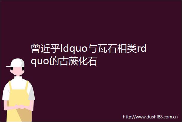 曾近乎ldquo与瓦石相类rdquo的古蕨化石