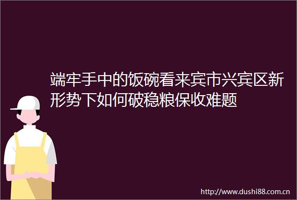 端牢手中的饭碗看来宾市兴宾区新形势下如何破稳粮保收难题